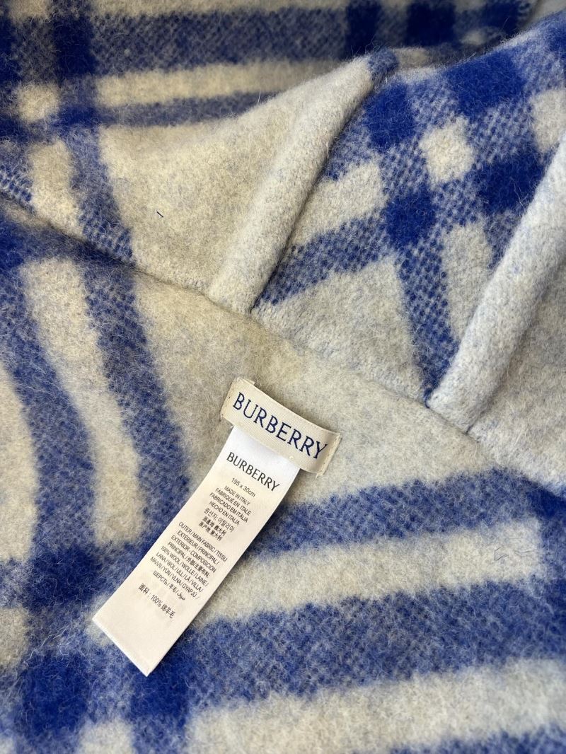 Burberry Caps Scarfs